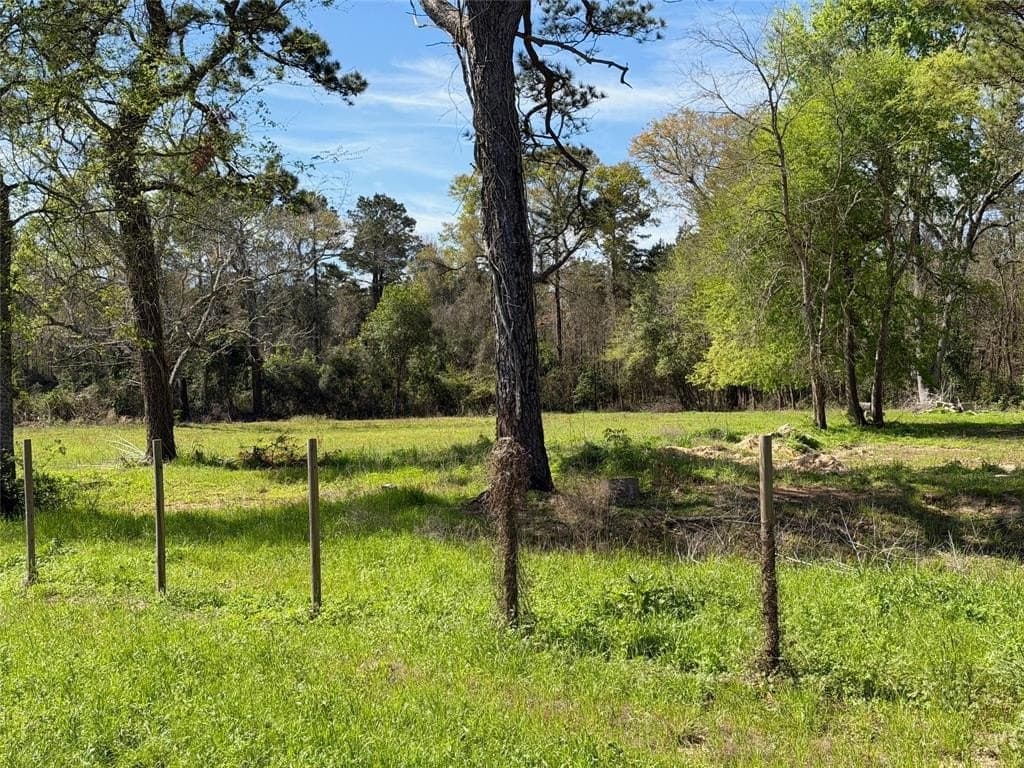 3.06 acres in Tyler County - photo 29