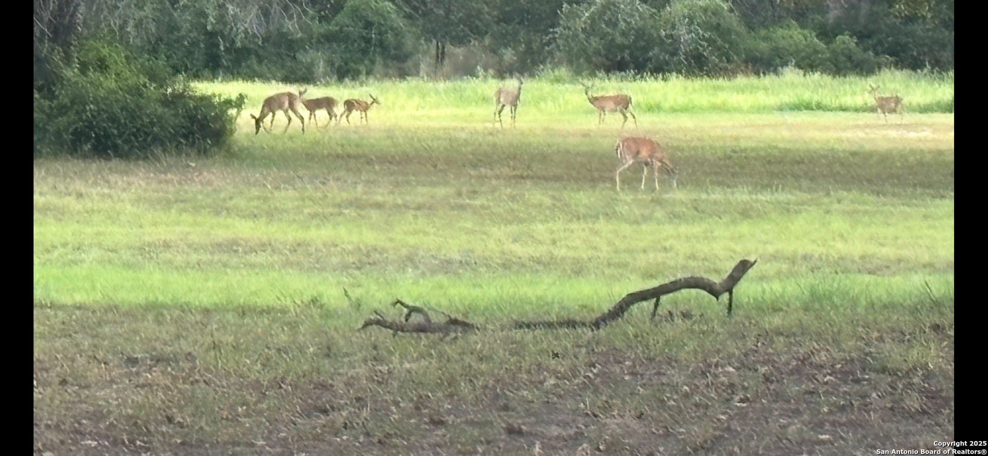 11.47 acres in Guadalupe County - photo 48