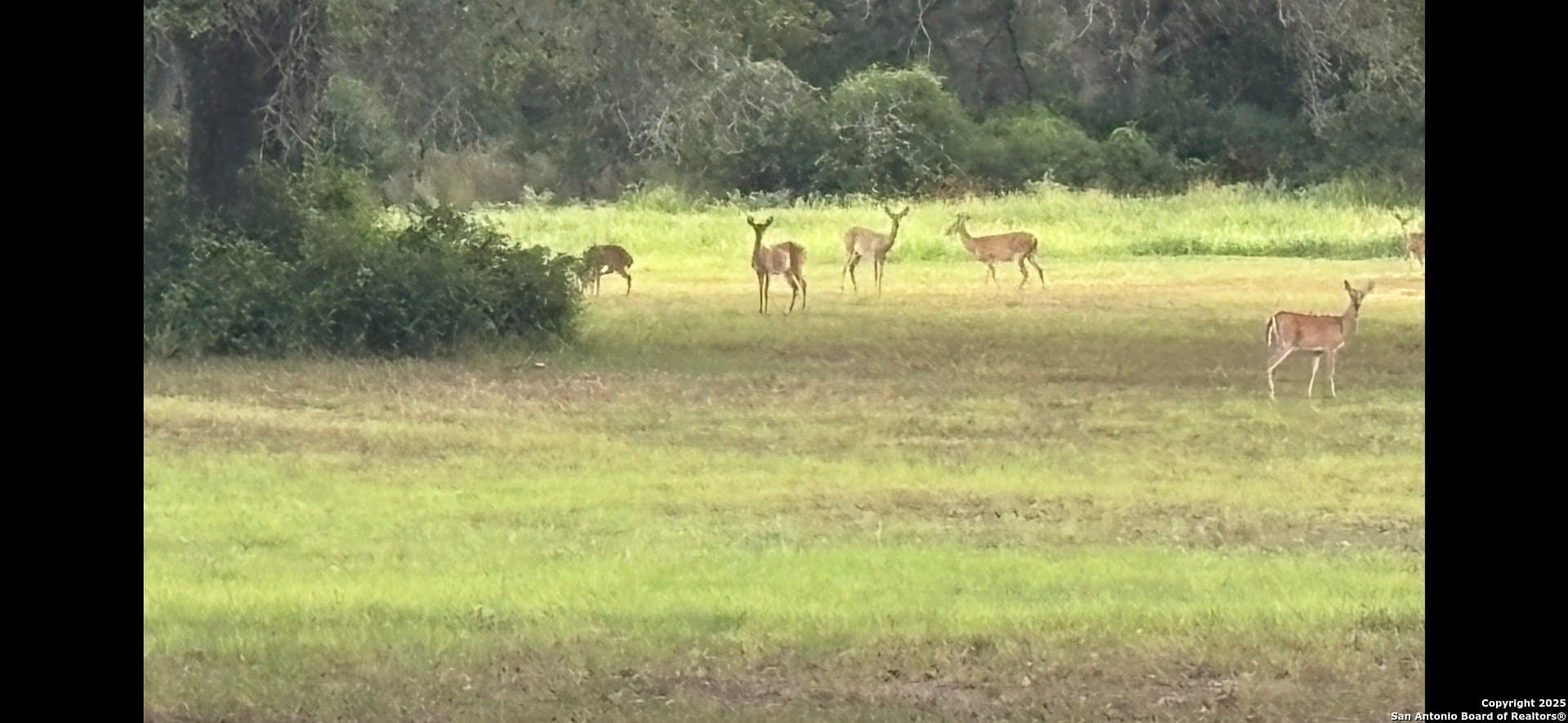 11.47 acres in Guadalupe County - photo 49