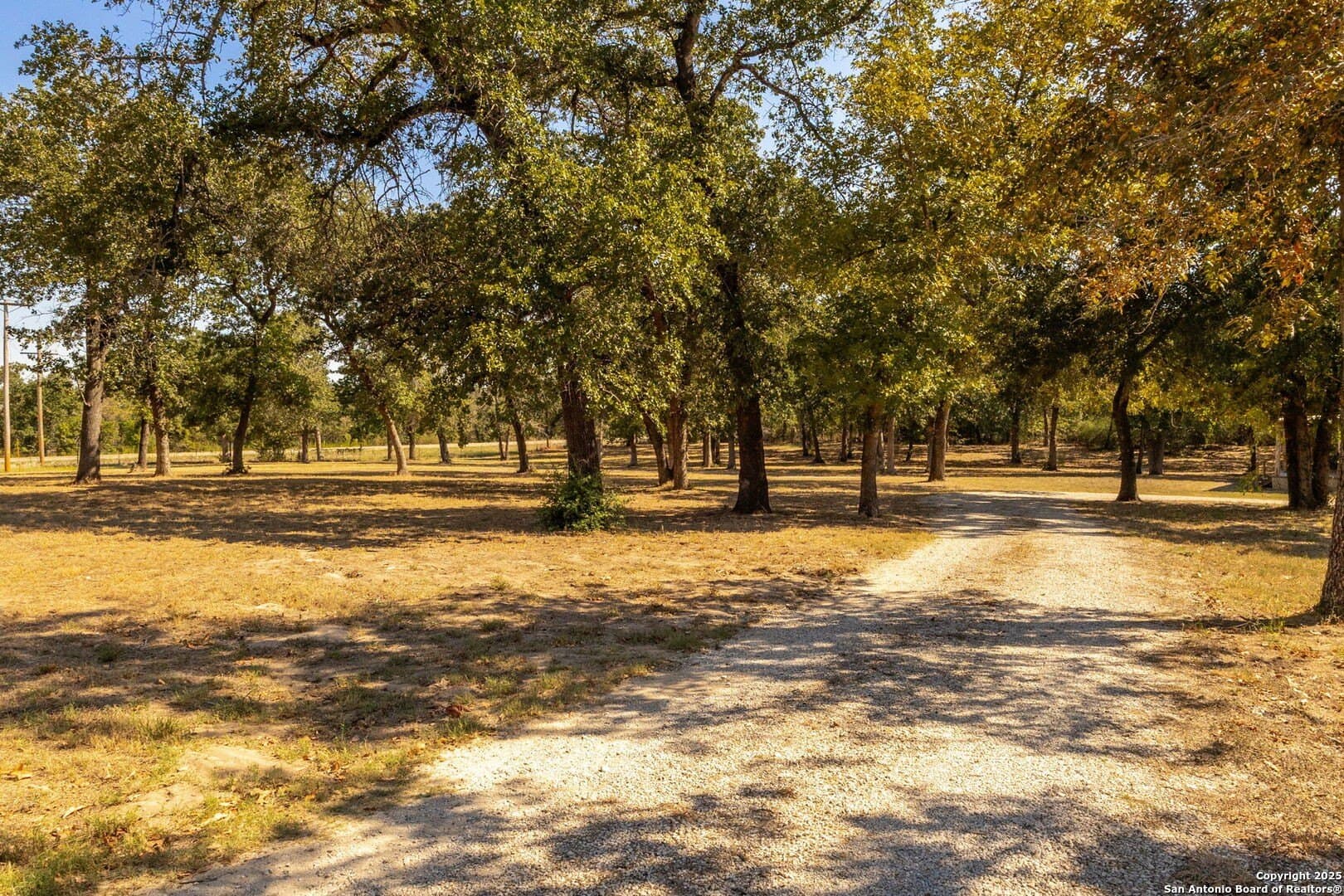11.47 acres in Guadalupe County - photo 5
