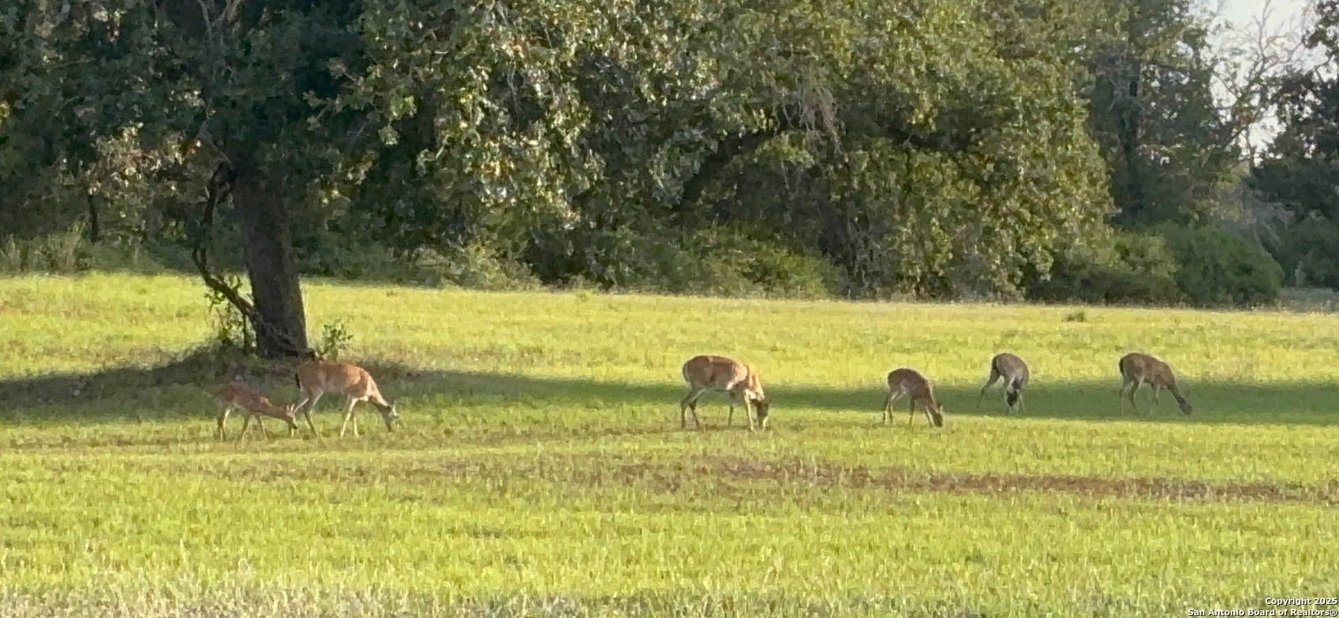 11.47 acres in Guadalupe County - photo 50