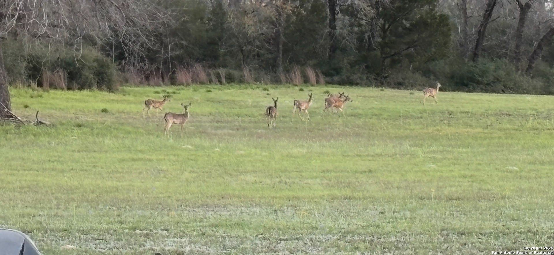 11.47 acres in Guadalupe County - photo 46