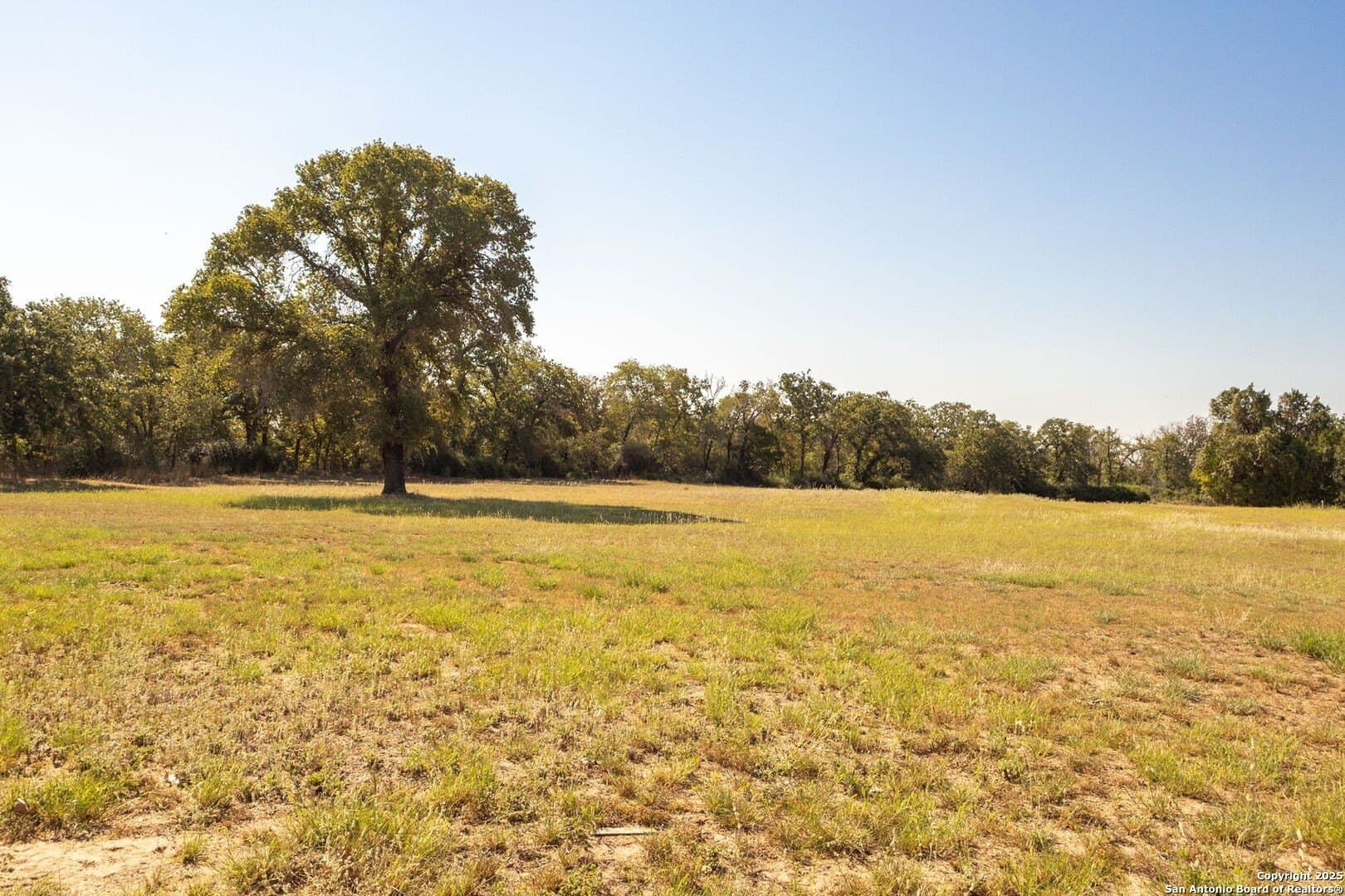 11.47 acres in Guadalupe County - photo 37
