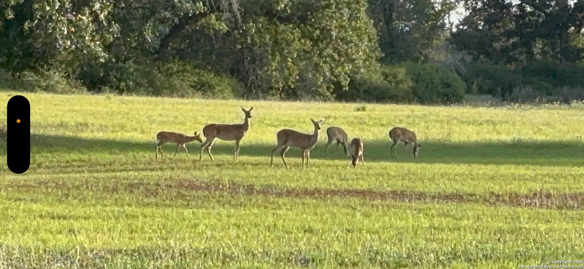 11.47 acres in Guadalupe County - photo 47