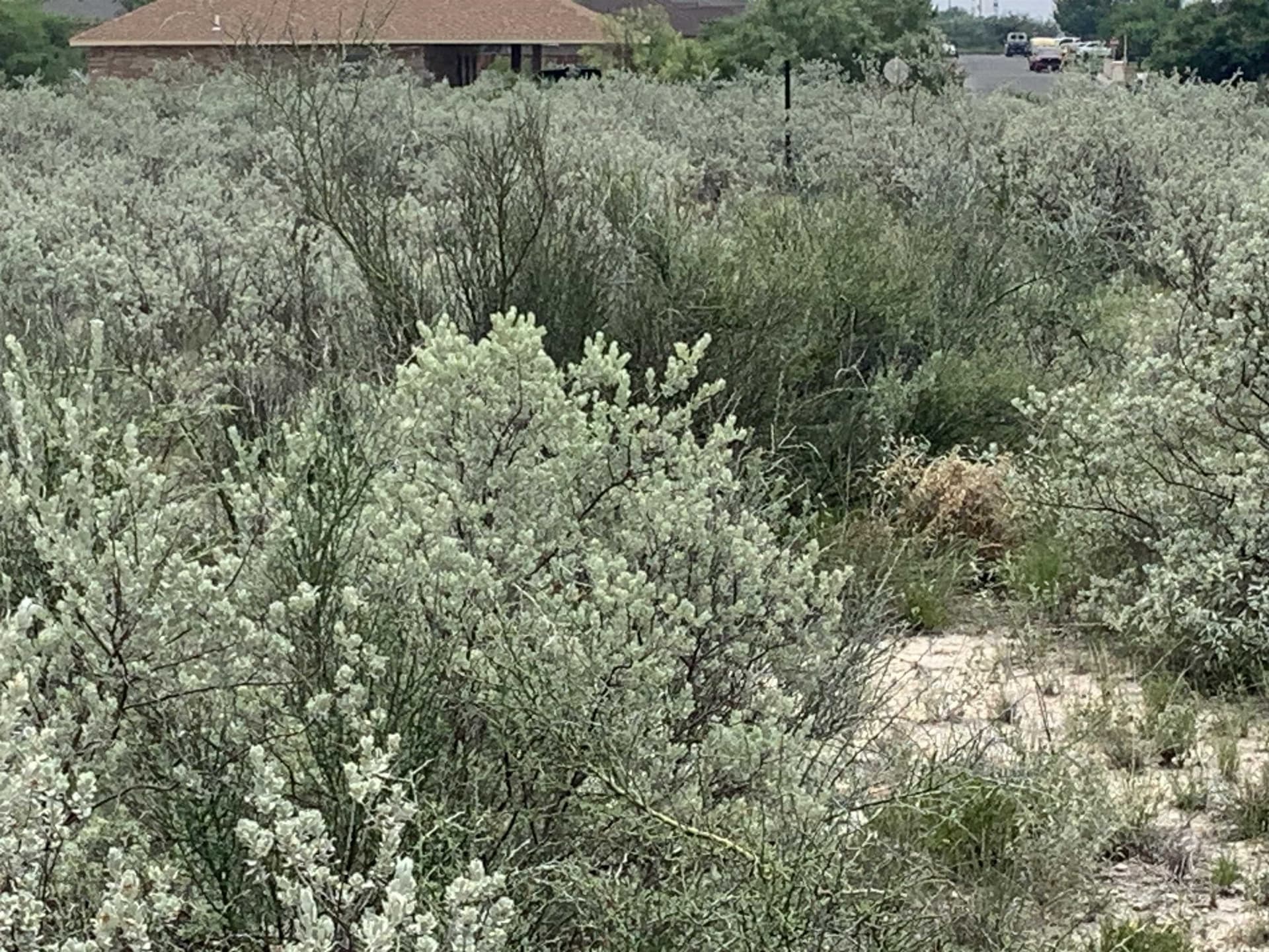 0.21 acres in Val Verde County - photo 11
