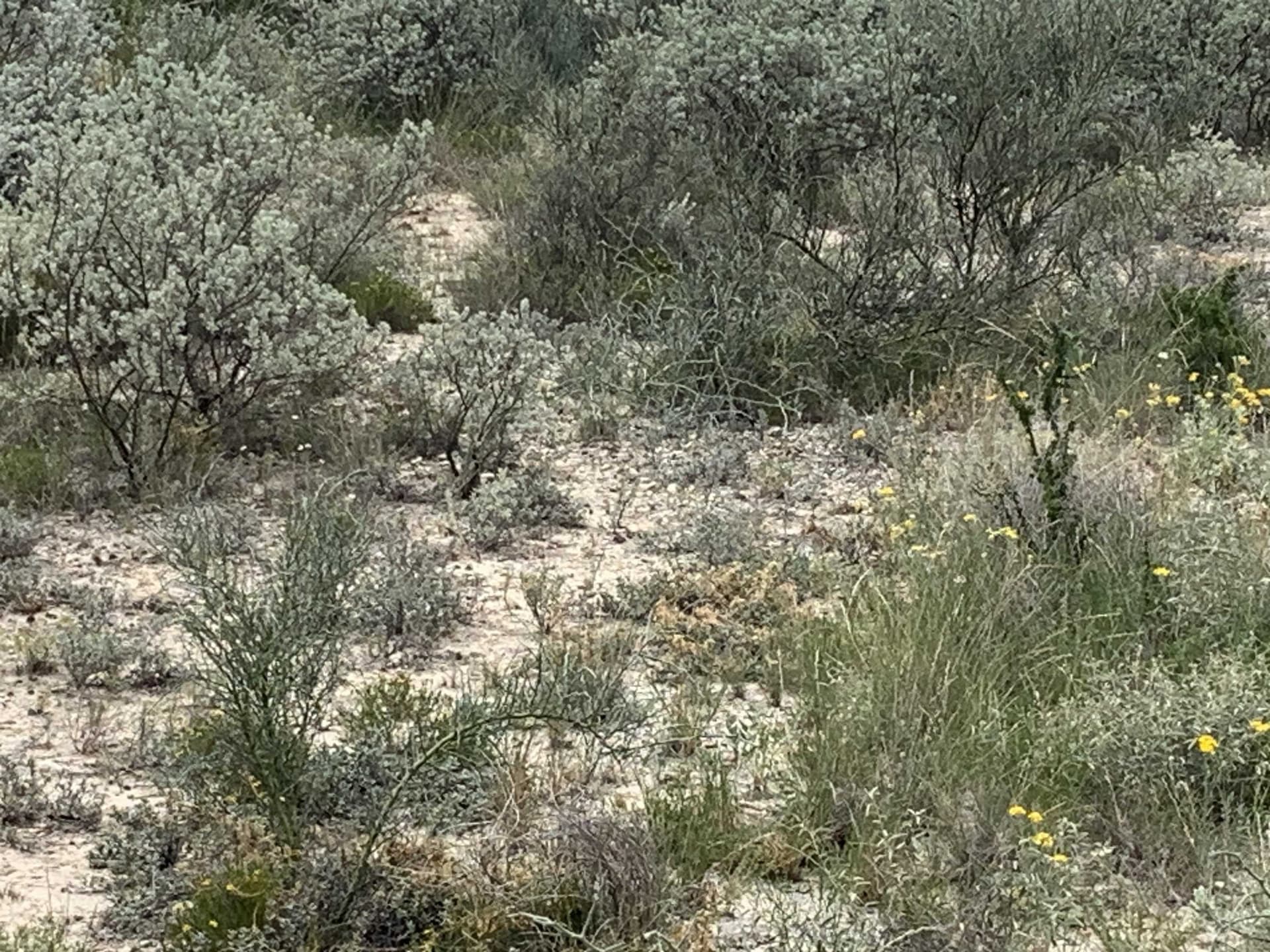 0.21 acres in Val Verde County - photo 10