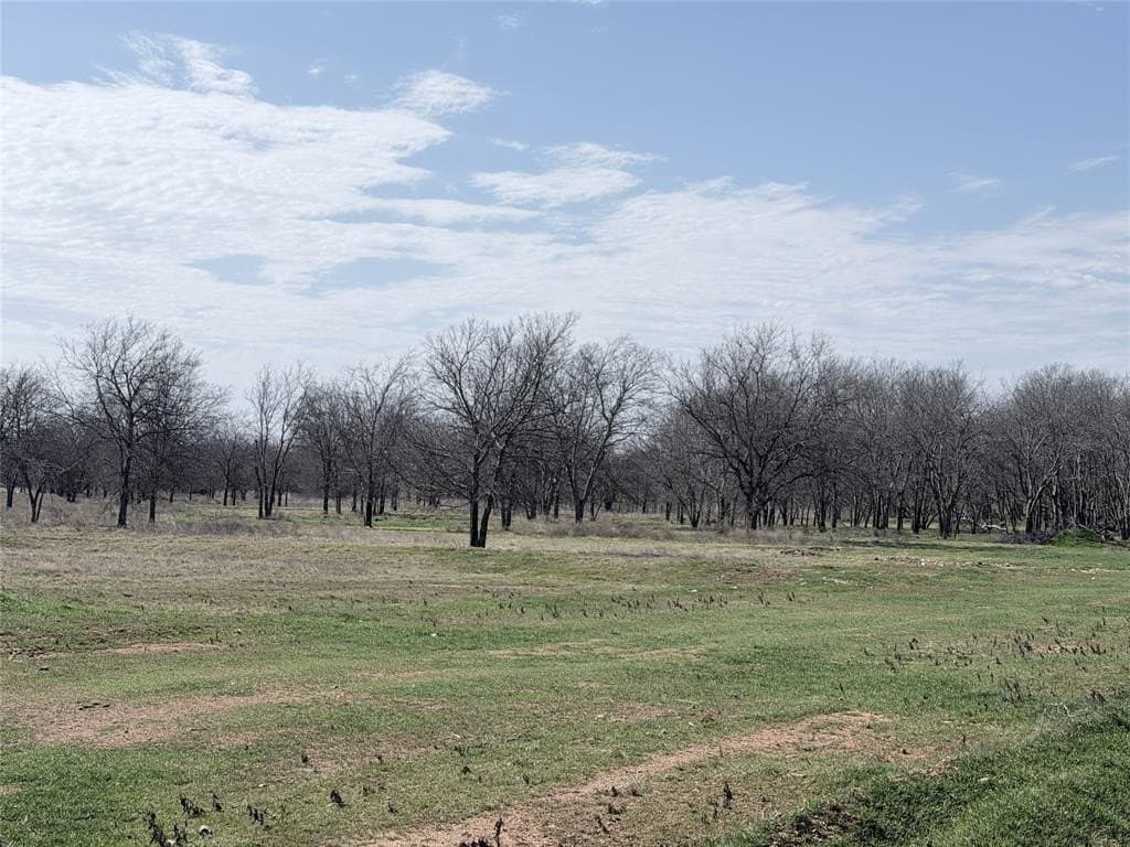 3.16 acres in Hill County - photo 3