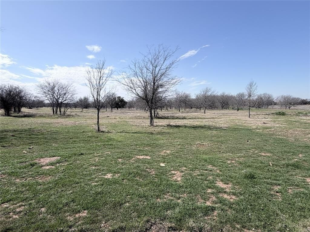 3.16 acres in Hill County - photo 4