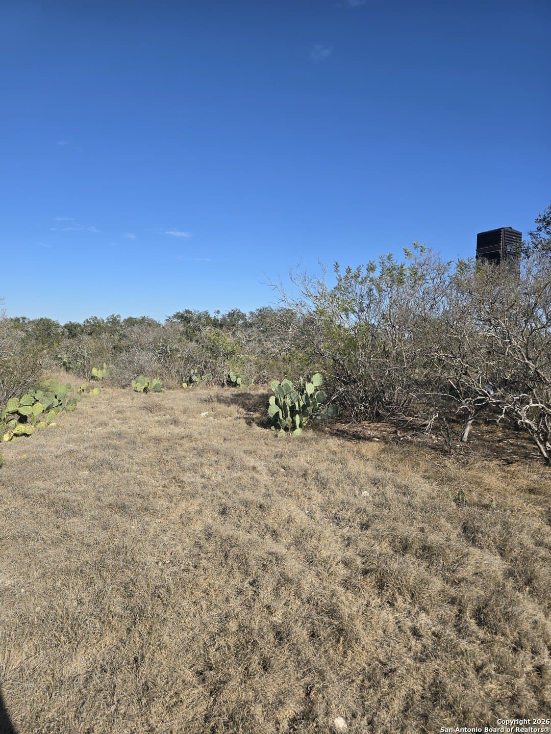 40.33 acres in Uvalde County - photo 13