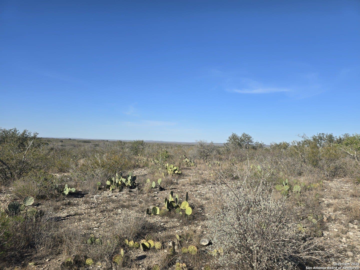 40.33 acres in Uvalde County - photo 14