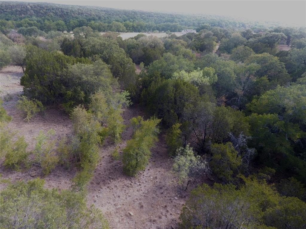 10.8 acres in Palo Pinto County - photo 9