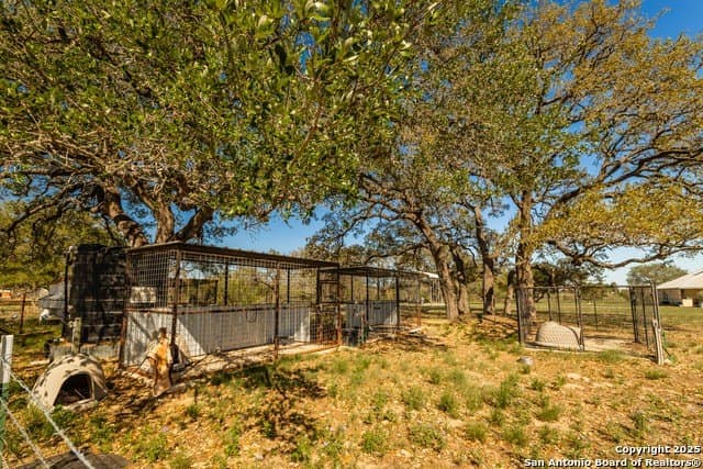 12 acres in Atascosa County - photo 21