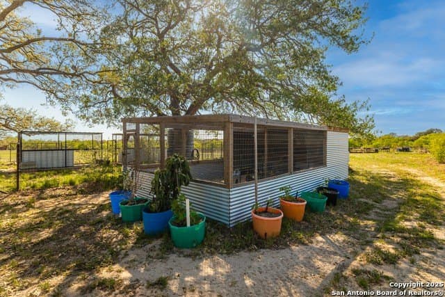 12 acres in Atascosa County - photo 5