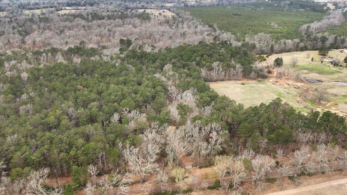 8.9 acres in Rusk County - photo 6