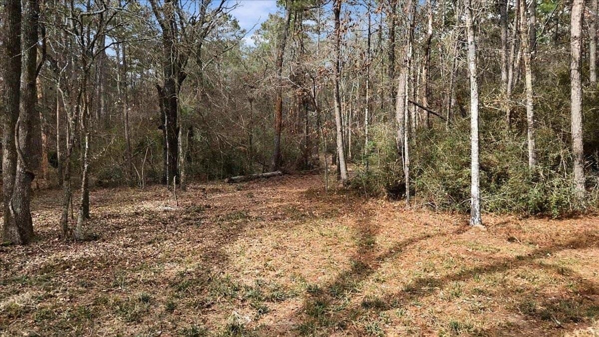 8.9 acres in Rusk County - photo 13