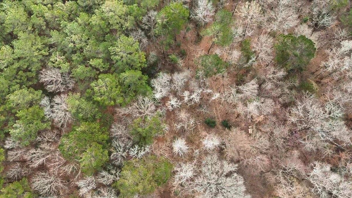 8.9 acres in Rusk County - photo 9