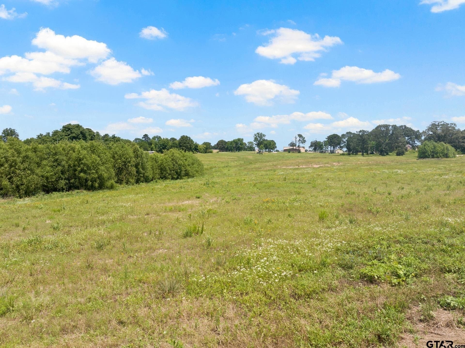 10 acres in Titus County - photo 18