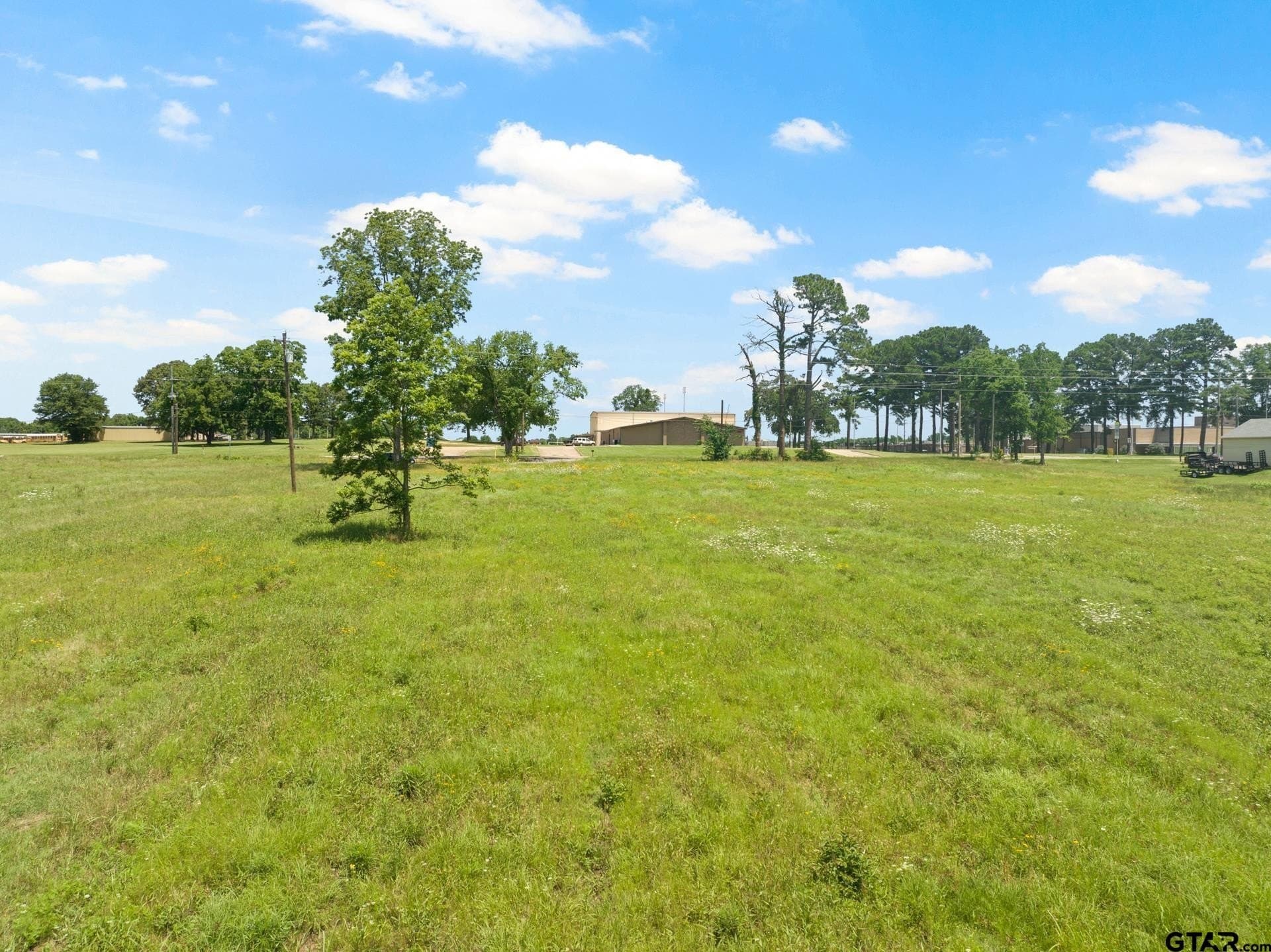 10 acres in Titus County - photo 12