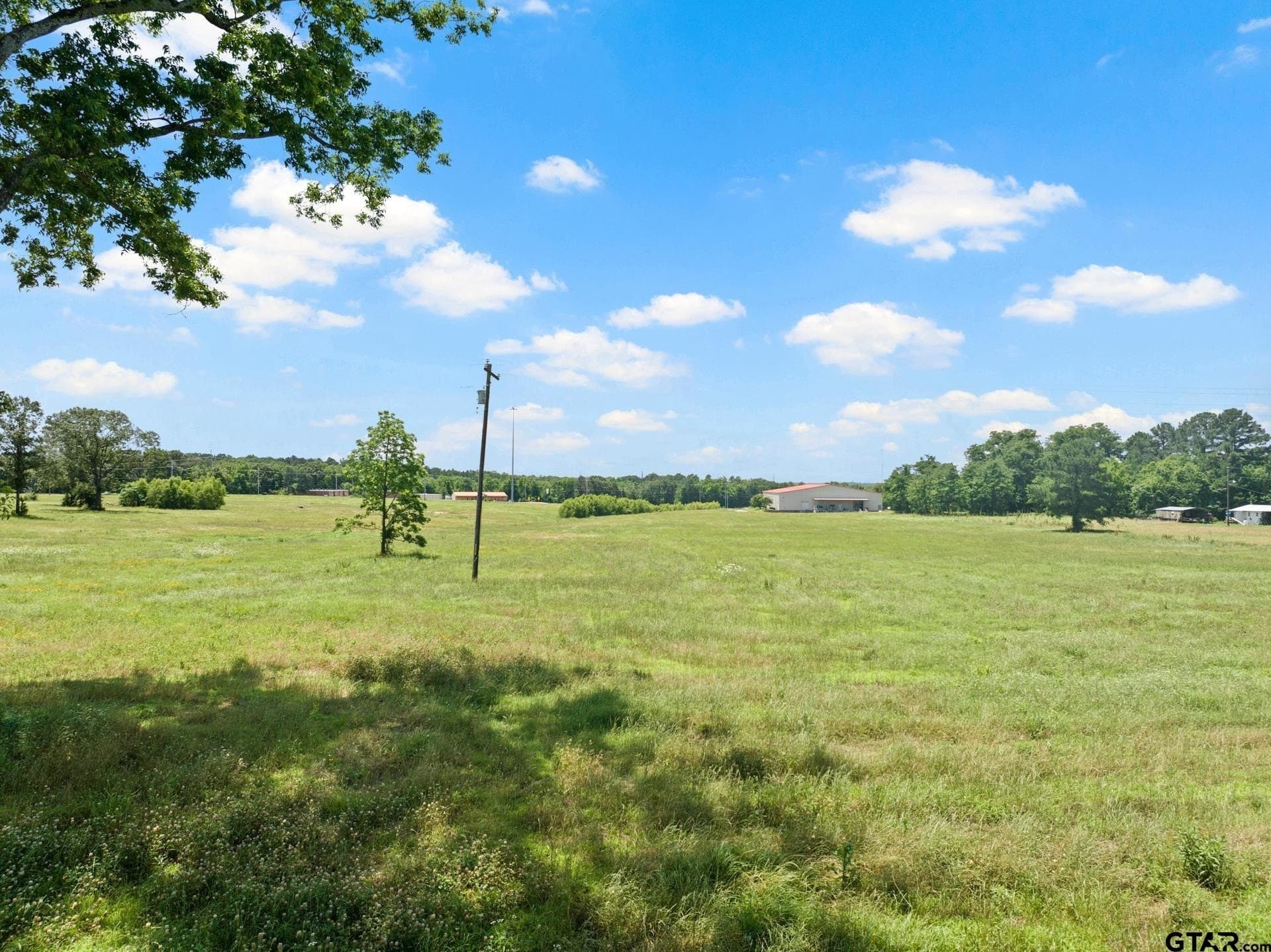 10 acres in Titus County - photo 5