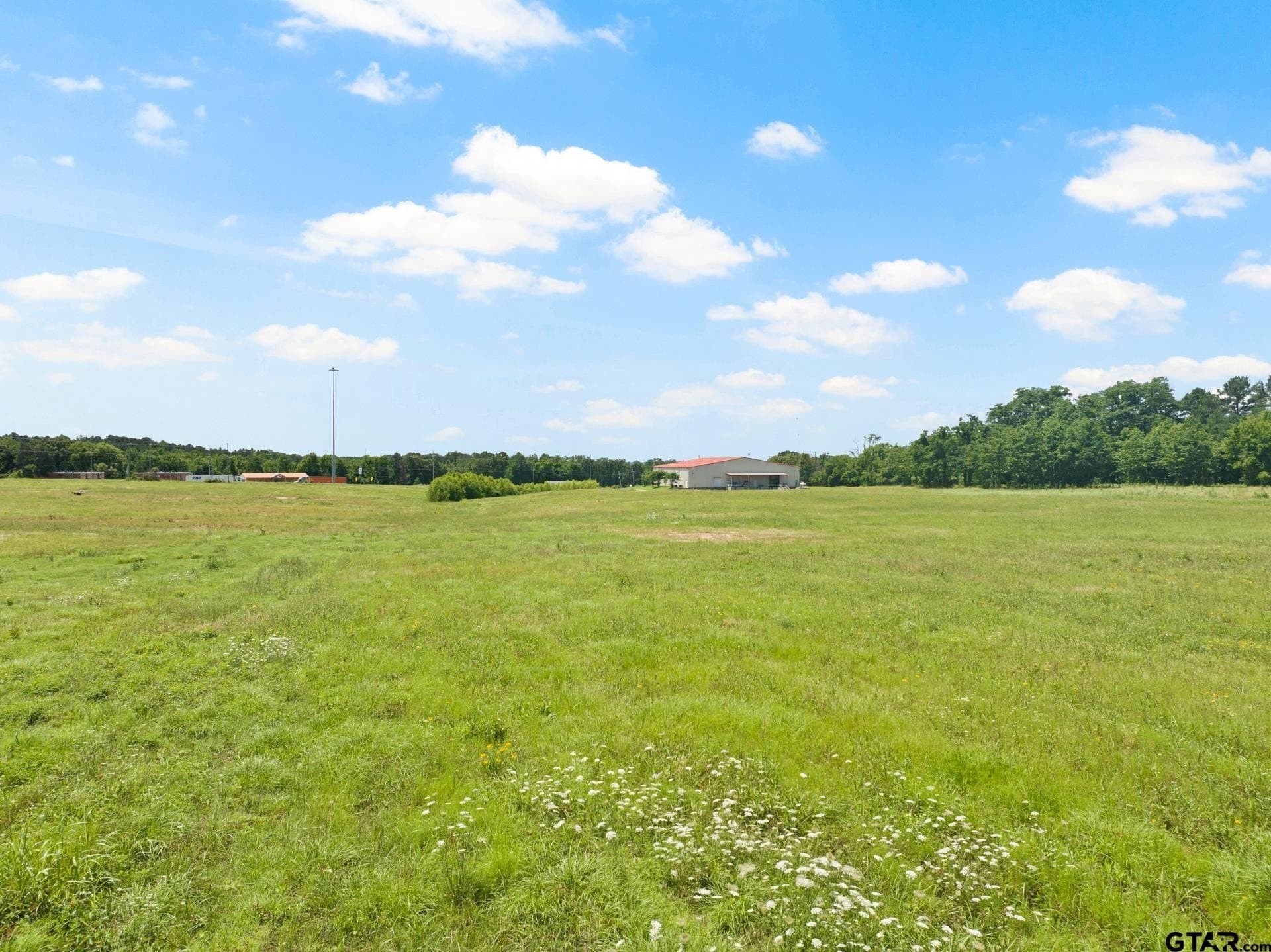10 acres in Titus County - photo 10