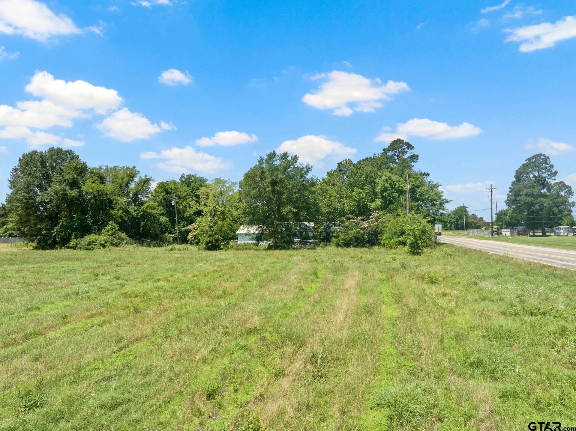 10 acres in Titus County - photo 4