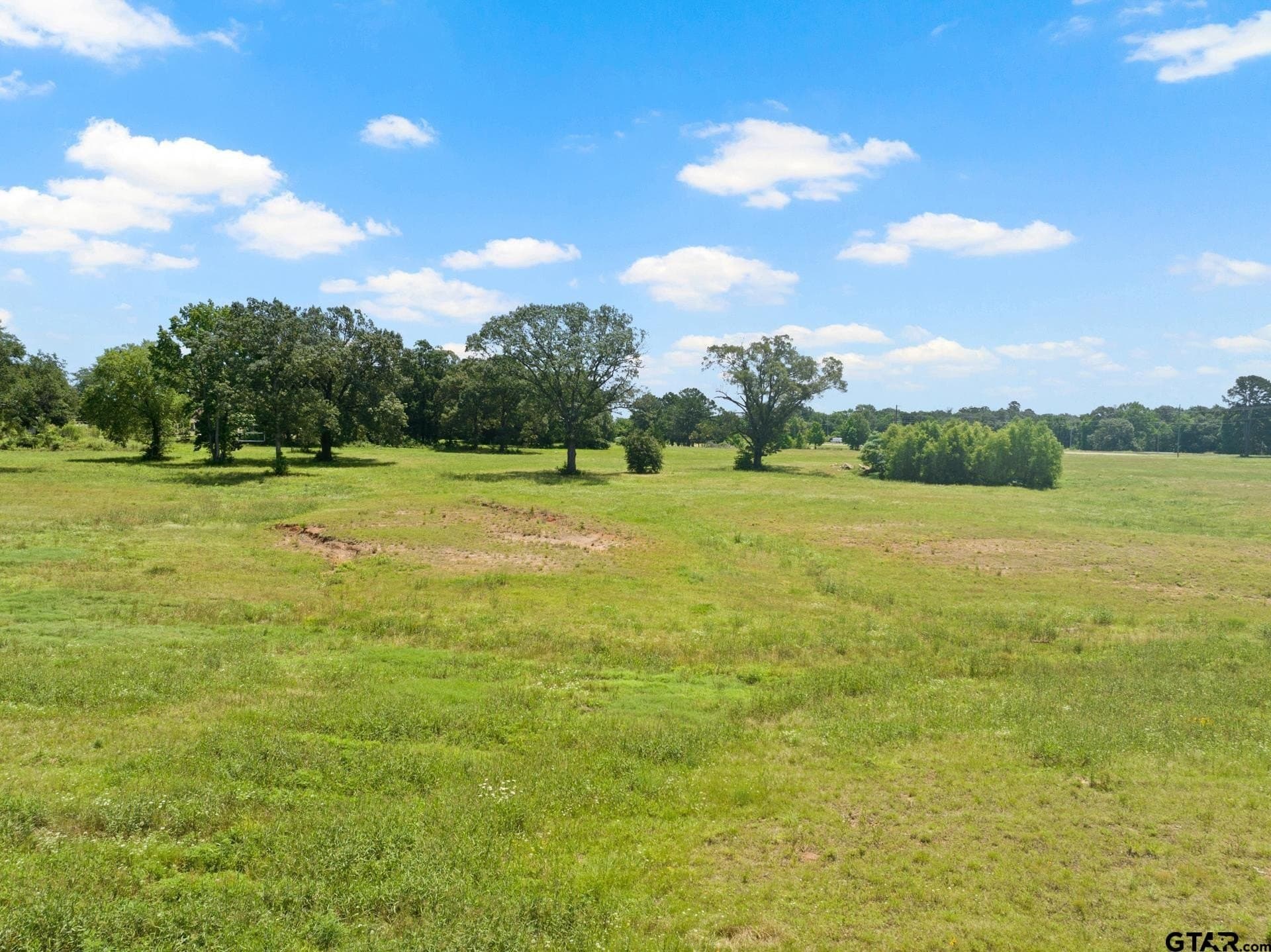 10 acres in Titus County - photo 15