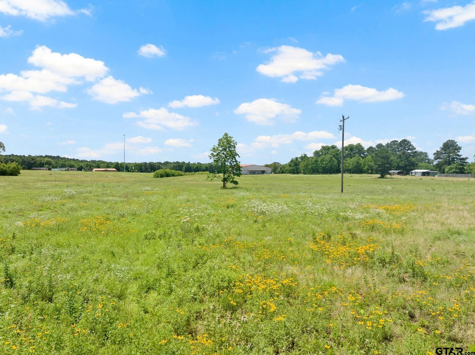 10 acres in Titus County - photo 7