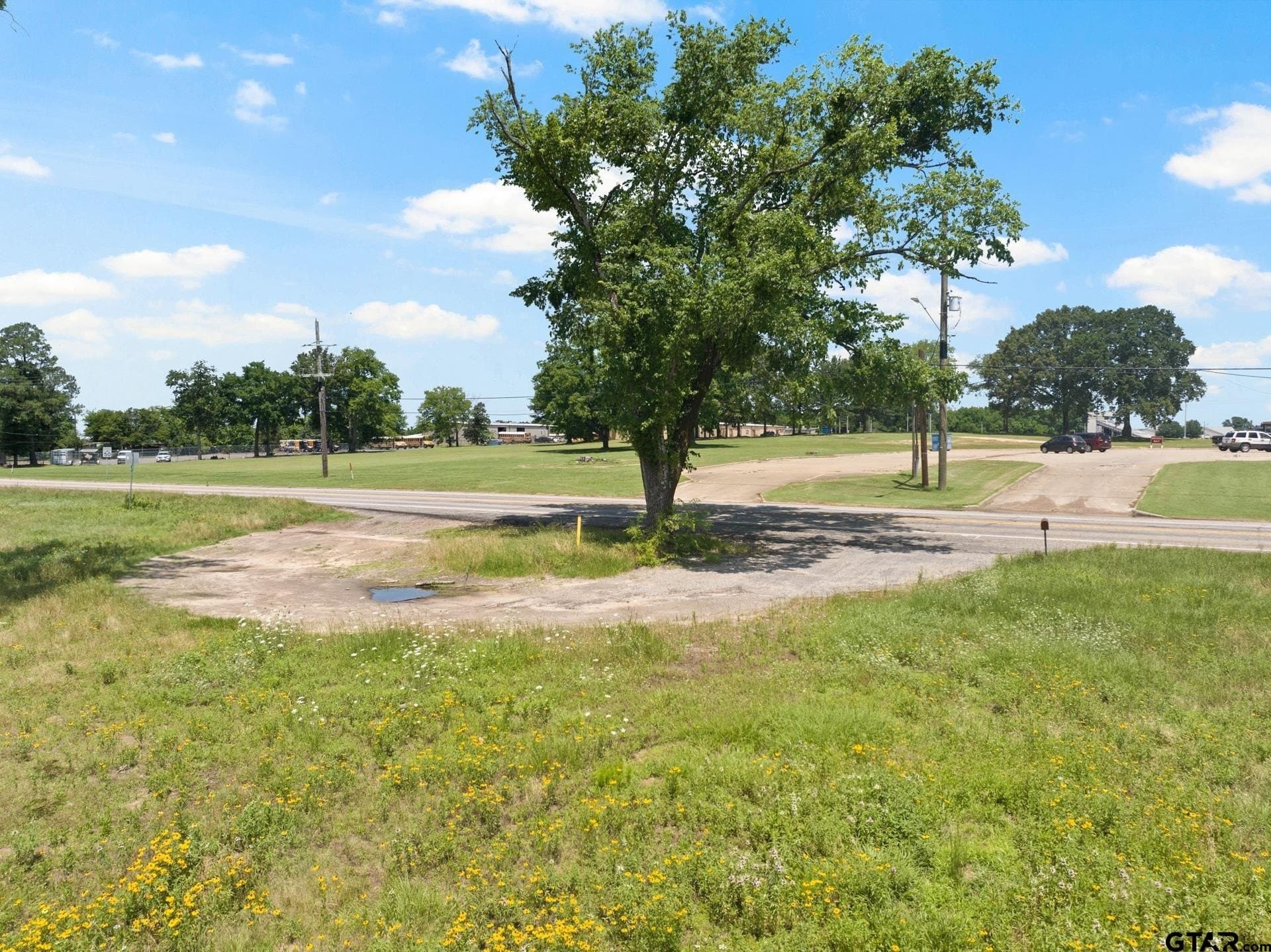 10 acres in Titus County - photo 8