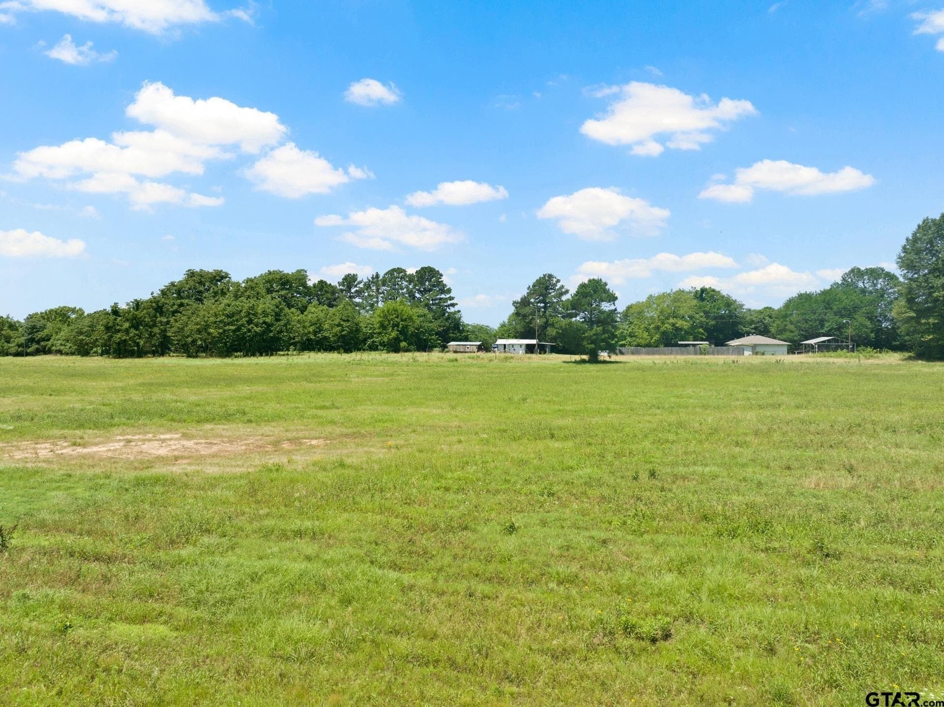 10 acres in Titus County - photo 11