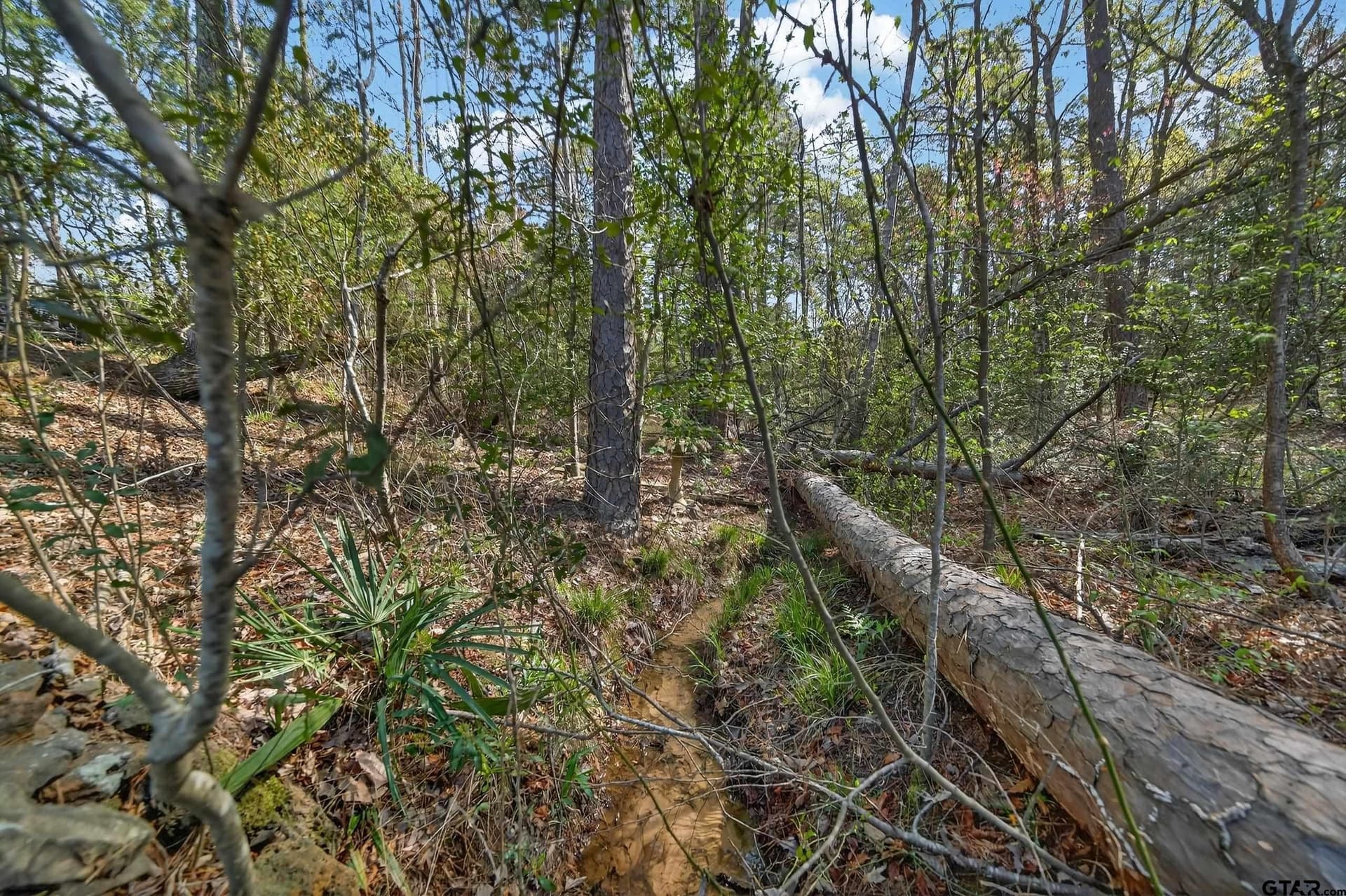 4.95 acres in Anderson County - photo 3