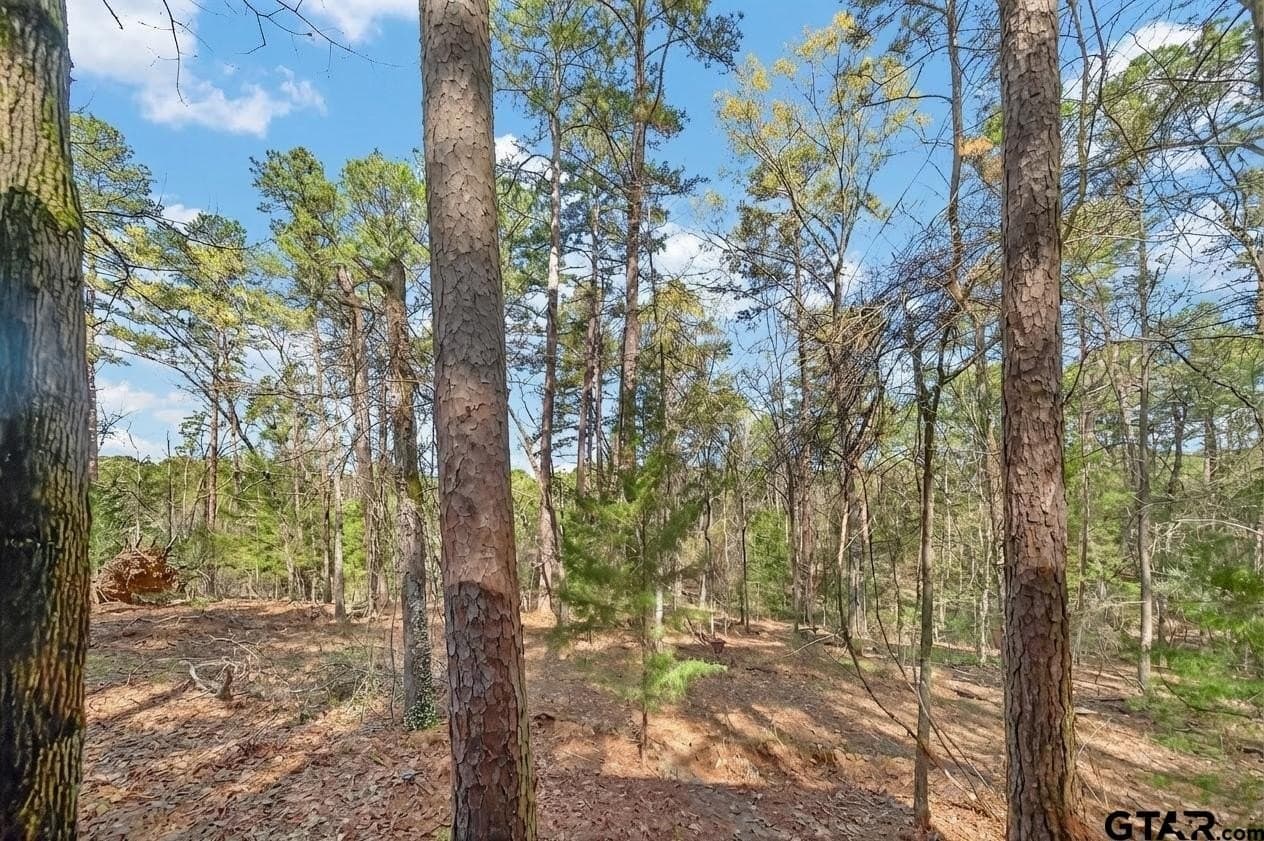 4.95 acres in Anderson County - photo 4
