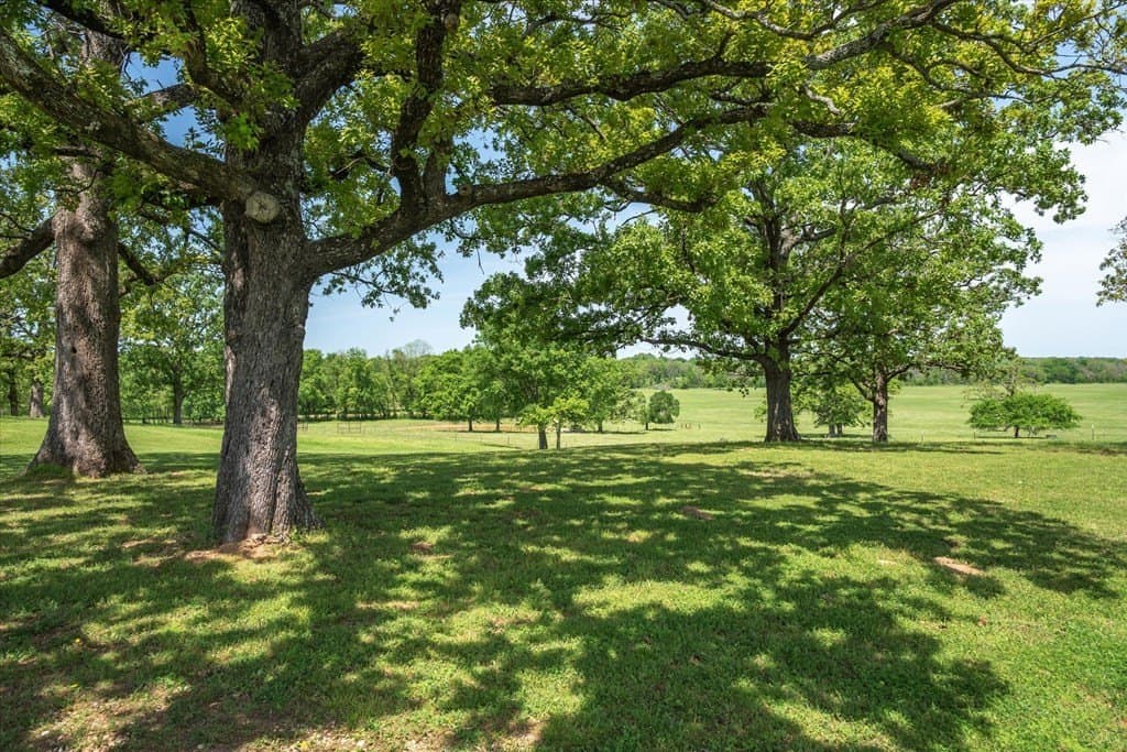 196.1 acres in Van Zandt County - photo 28