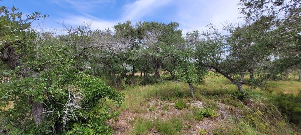 0 acres in Texas County - photo 4