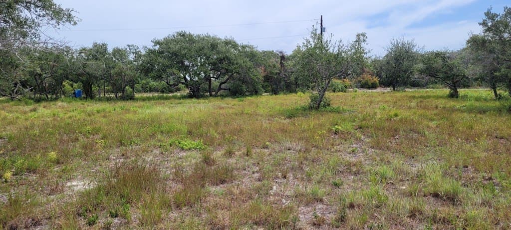 0 acres in Texas County - photo 2