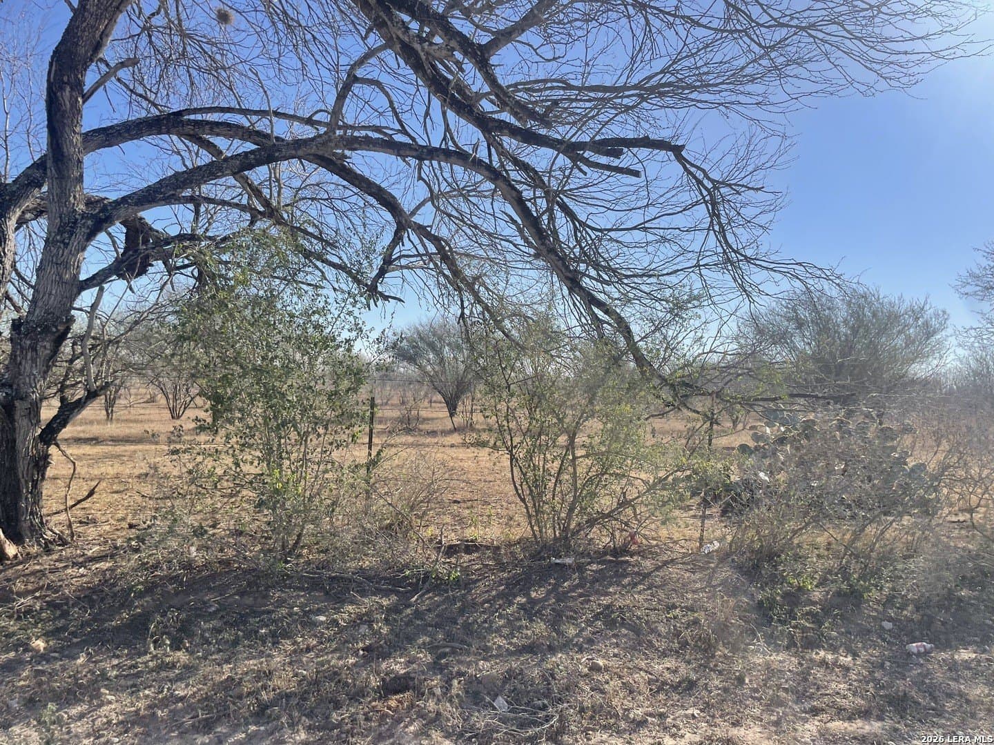 0 acres in Atascosa County - photo 4