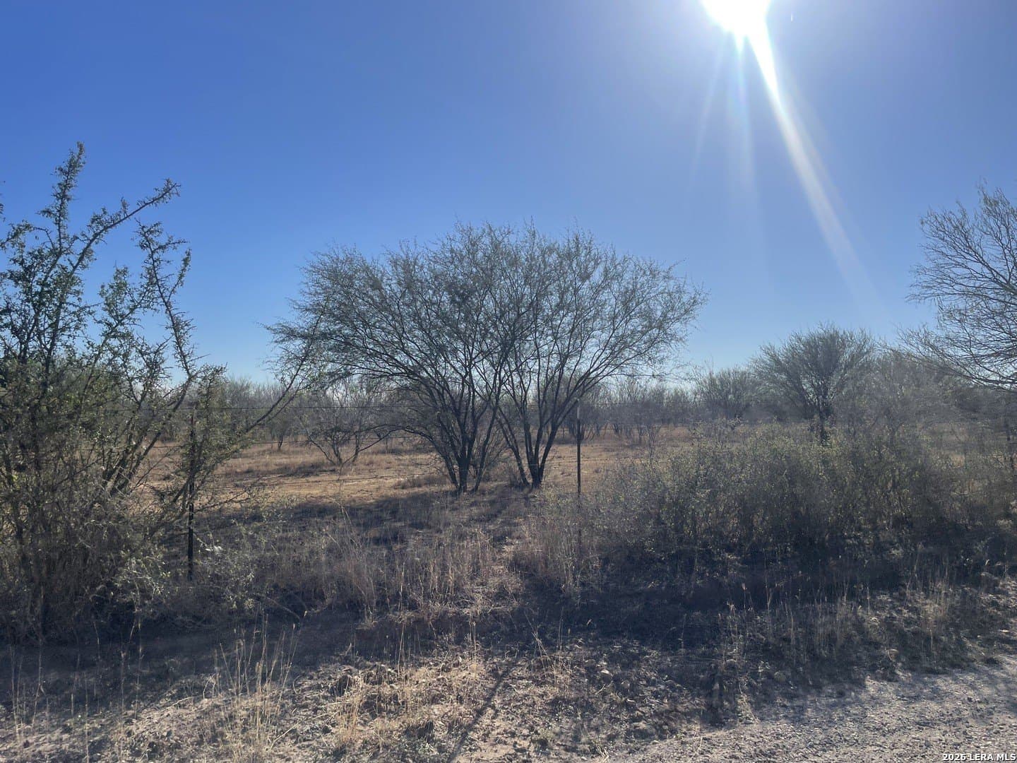 0 acres in Atascosa County - photo 2