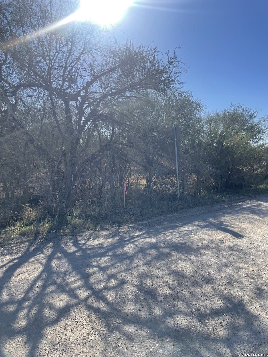 0 acres in Atascosa County - photo 10