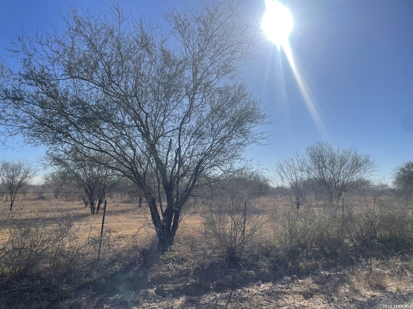0 acres in Atascosa County - photo 3