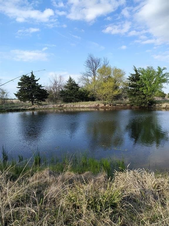 32.35 acres in Hunt County - photo 40