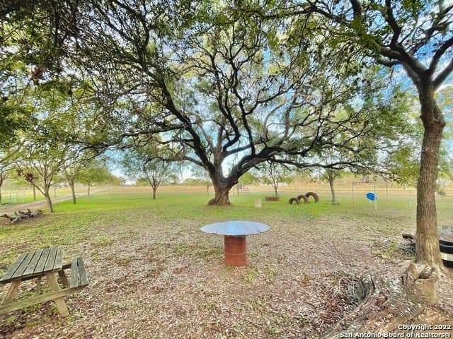 406.27 acres in Bexar County - photo 37
