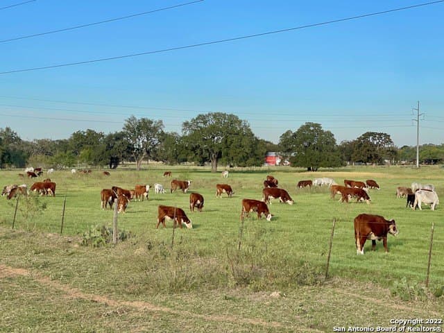 406.27 acres in Bexar County - photo 27