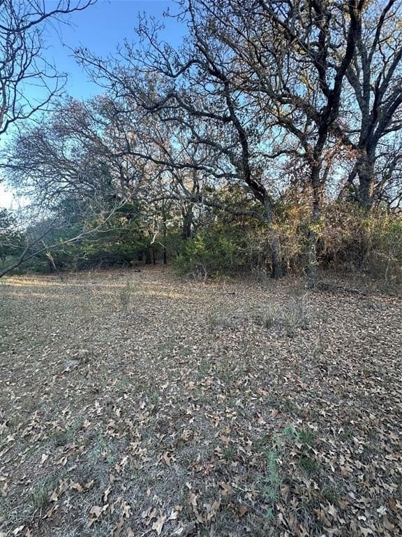 75 acres in Brown County - photo 25