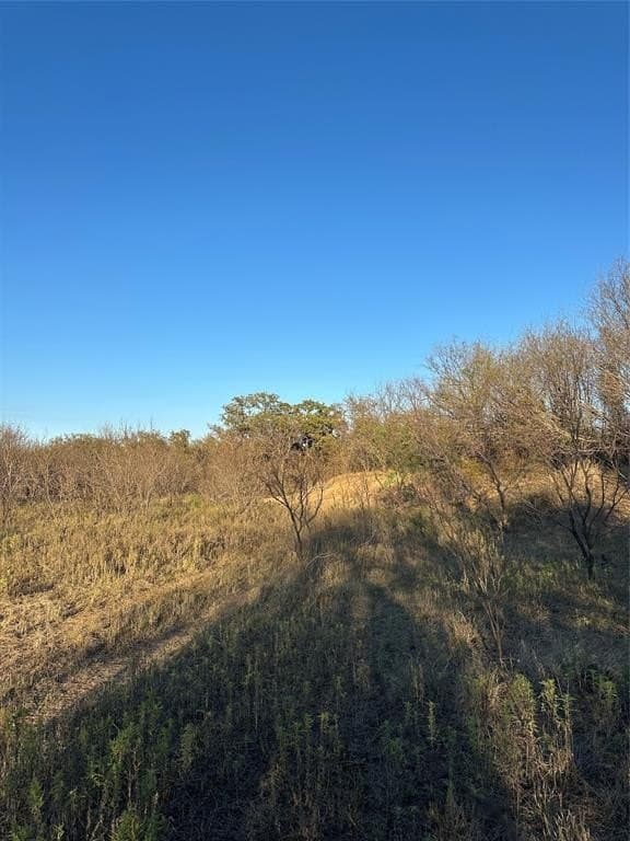 75 acres in Brown County - photo 34