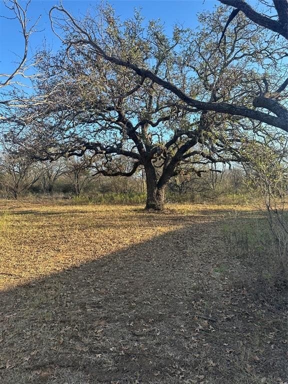 75 acres in Brown County - photo 11