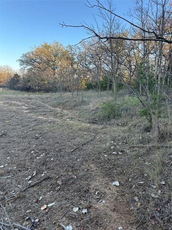 75 acres in Brown County - photo 32
