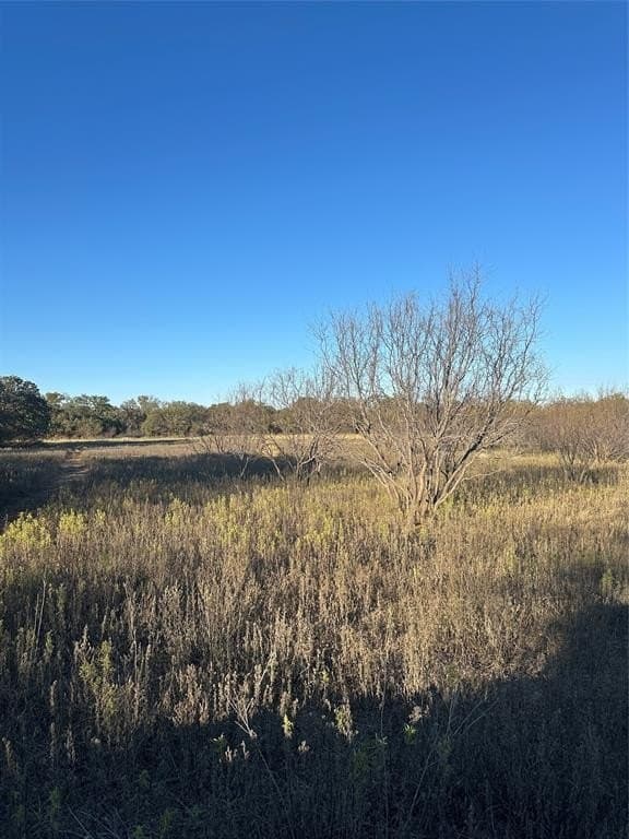 75 acres in Brown County - photo 9