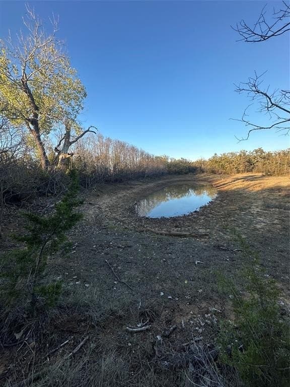 75 acres in Brown County - photo 30