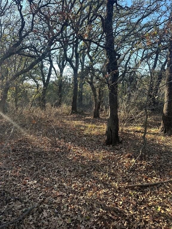 75 acres in Brown County - photo 24