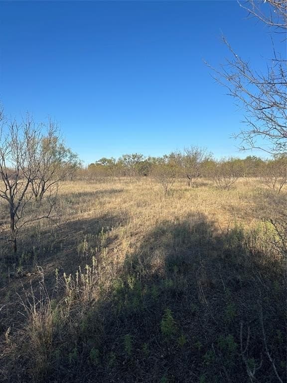 75 acres in Brown County - photo 39