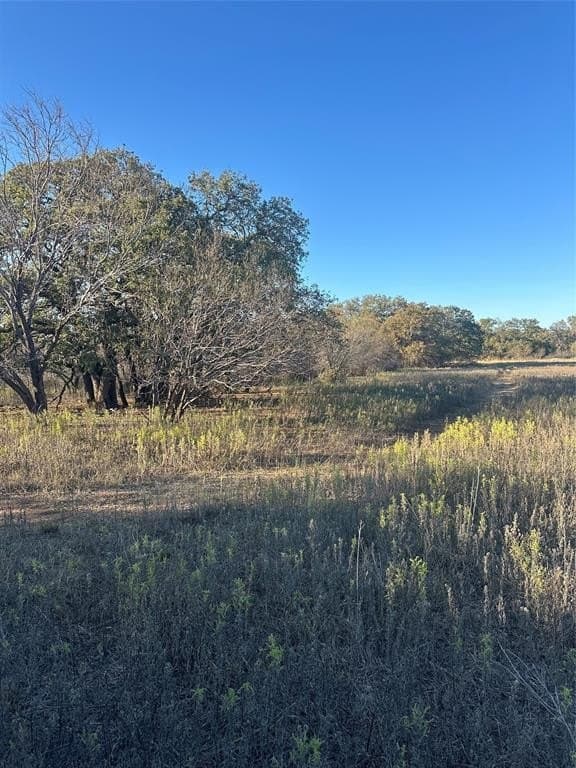 75 acres in Brown County - photo 10